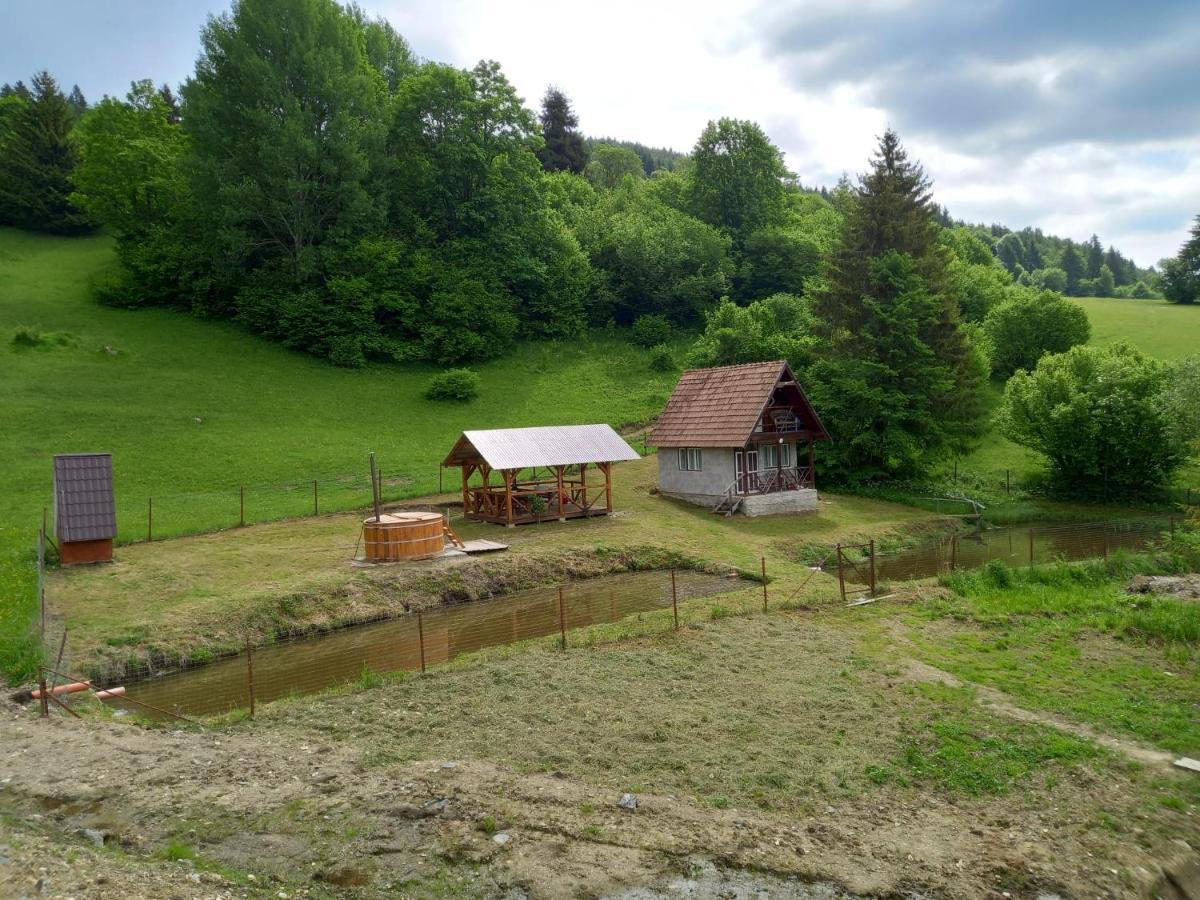 Cabane Areama Neagra Izvoru Mureşului Esterno foto